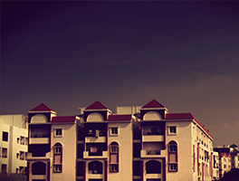 I'll have a cup of Disneyland, please